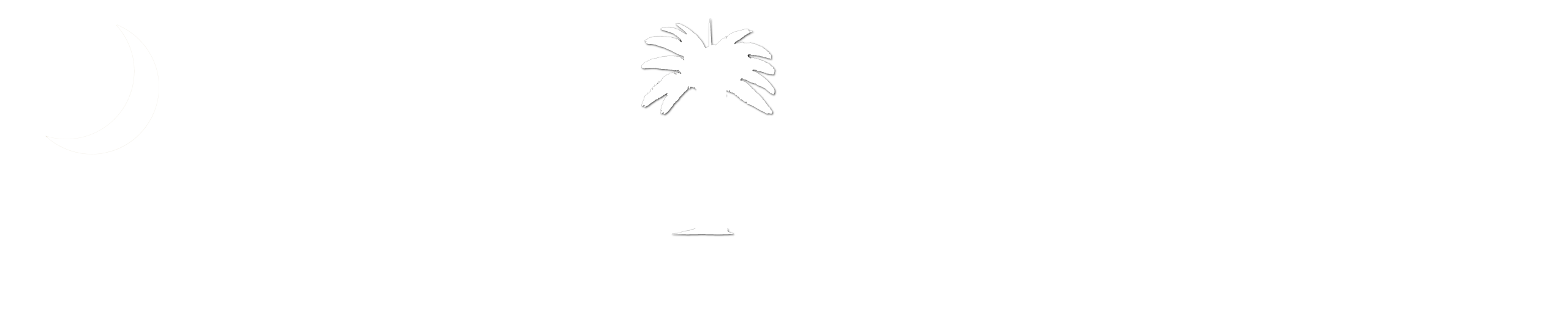 Palmetto Training, Inc.